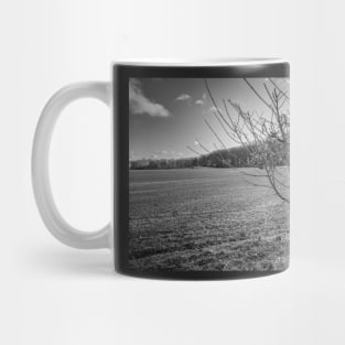 A leafless hedge in the English countryside Mug